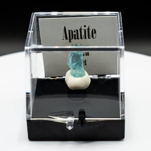 Blue Apatite Crystal Specimen – Africa | Perky Box Display