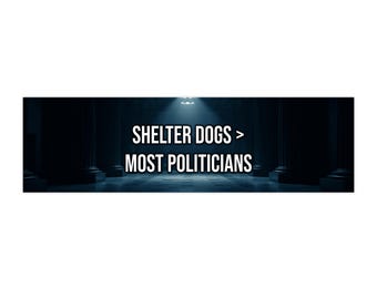 shelter dogs > most politicians