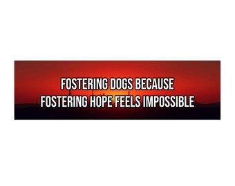 Fostering dogs because fostering hope feels impossible