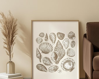 Vintage Seashell Illustration Matte Vertical Poster | Coastal Wall Art