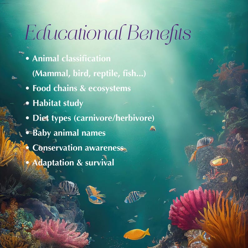 200 Ocean Animal Flash Cards | Printable & Goodnotes | Marine Life ...