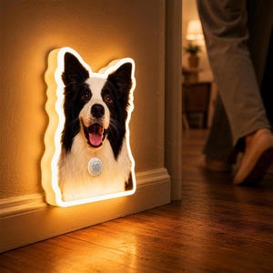 May include: A wall-mounted LED night light shaped like a Border Collie dog. The light features a black and white dog portrait with a glowing warm white border and a circular motion sensor positioned on the chest area of the dog illustration.
