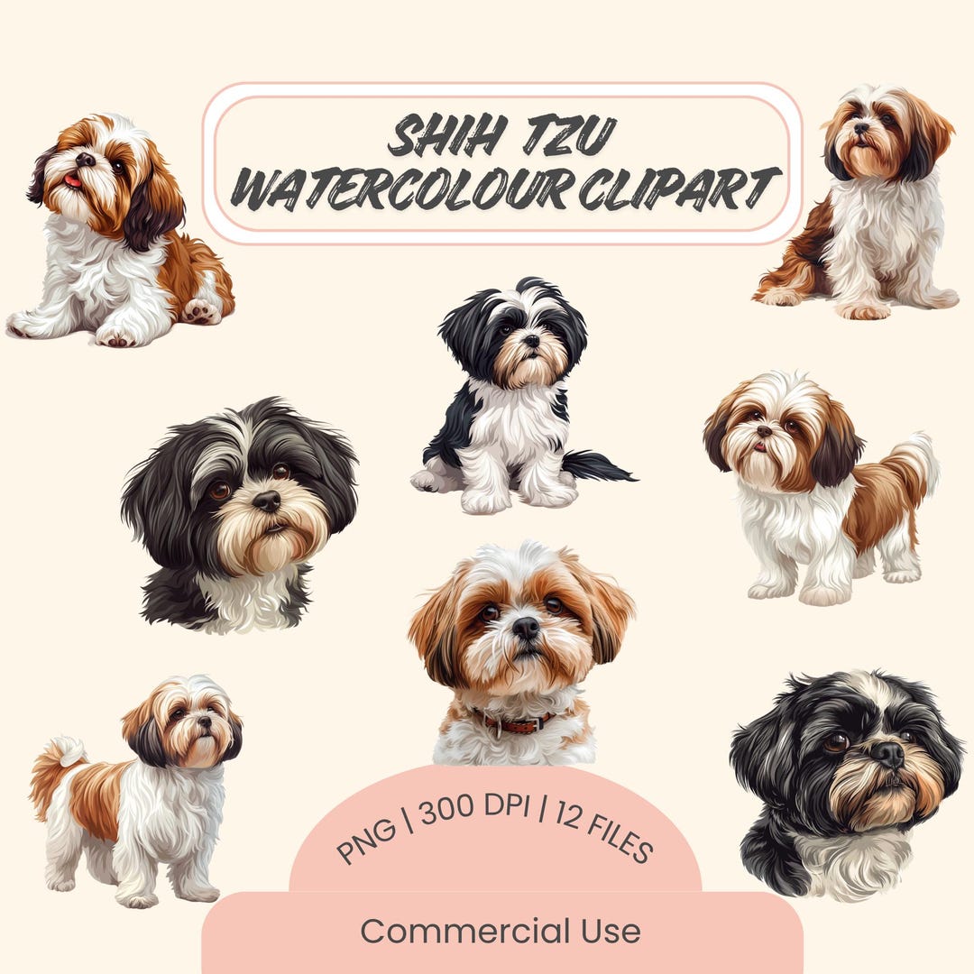 Shih Tzu Watercolour Clipart PNG | Dog Illustration for Sublimation ...