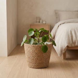 Handwoven Seagrass Plant Basket: Boho Natural Flower Pot Cover with Liner