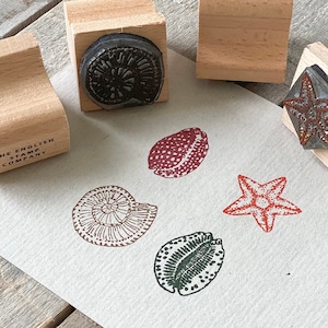 Small Seashell Stamp Set Rubber Stamp Set Shell Stamps Eco Friendly Stamps Eco Stamps Seaside Stamps image 1