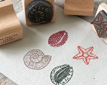Small Seashell Stamp Set | Rubber Stamp Set | Shell Stamps | Eco Friendly Stamps | Eco Stamps | Seaside Stamps