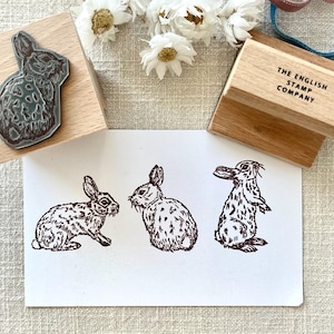 Osterhase Stempel Set für DIY Bastelarbeiten, Karten & Geschenkverpackung - Süßer Hase Design