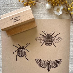 Heckeninsekt Stempel Set für Grußkarten, Kunstprojekte und DIY-Projekte