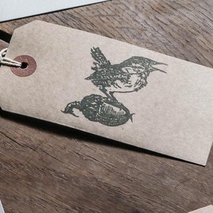 Tampon troglodyte sur gland par Jackie Morris - Art animalier pour travaux manuels créatifs et fabrication de cartes