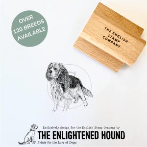 Sello de goma de Cavalier King Charles Spaniel para amantes de los perros / Manualidades, tarjetas y envoltura de regalos