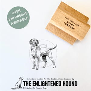 Langhaar Vizsla Hund Rubber Art Stempel zum Basteln, Karten machen und Geschenkverpackung