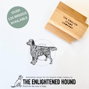 Sello de goma de perro setter inglés para manualidades, tarjetas y envoltura de regalos, de Debbie Kendall