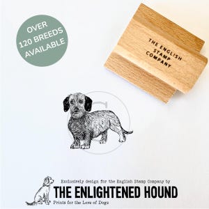 Carimbo de borracha para arte de Dachshund de pelo duro para amantes de cães | Materiais de artesanato para fazer cartões e embrulhos de presentes por Debbie Kendall