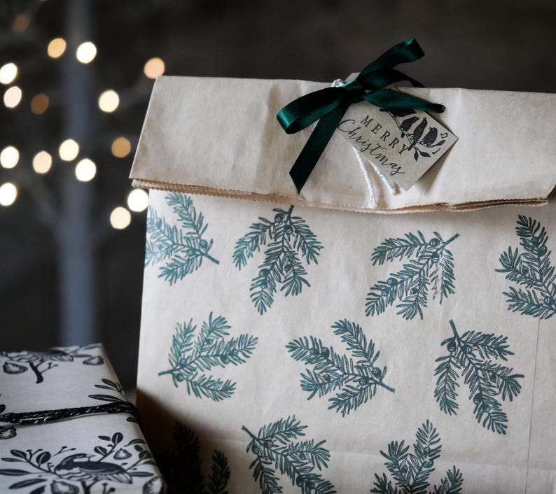 May include: A kraft paper gift bag with a repeating teal fern pattern. The bag is tied with a dark green ribbon and a tag that reads "Merry Christmas". The background has blurred lights.