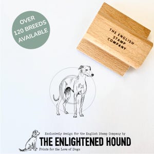 Tampon artistique en caoutchouc Greyhound pour les amoureux des chiens | Debbie Kendall Fournitures créatives pour la fabrication de cartes et l'emballage cadeau