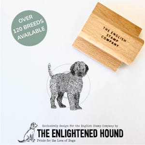 Lagotto Romagnolo hond rubberen kunststempel voor knutselen, kaarten, cadeauverpakking door Debbie Kendall