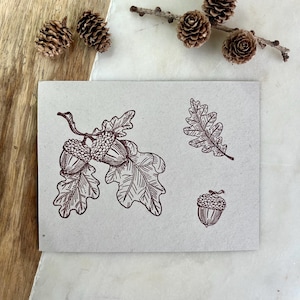 May include: A rectangular card featuring a brown ink illustration of acorns and oak leaves. The design includes a cluster of acorns with detailed caps and several oak leaves. Additional acorns and pinecones are visible.