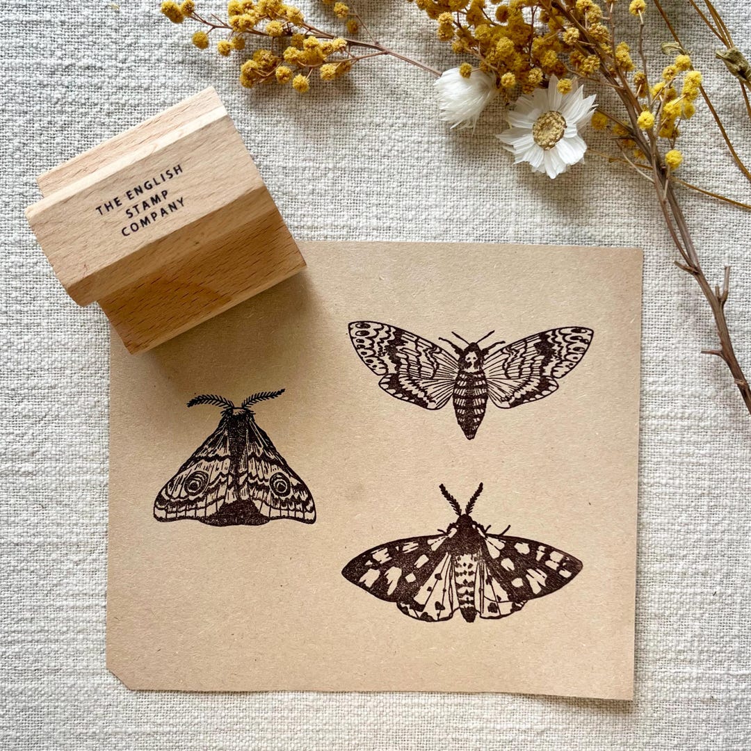 Moth & Insect Rubber Stamp Set for Art, Cards and Hedgerow Collection ...