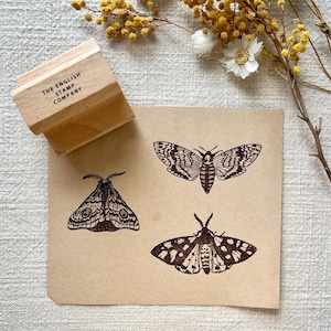 Stempelset motten en insecten voor collectie kunst, kaarten en heggen - Botanical Garden Crafting