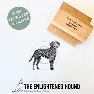 Carimbo de borracha para artesanato, cartões e embrulhos de presentes, com o tema Curly-Coated Retriever, de Debbie Kendall