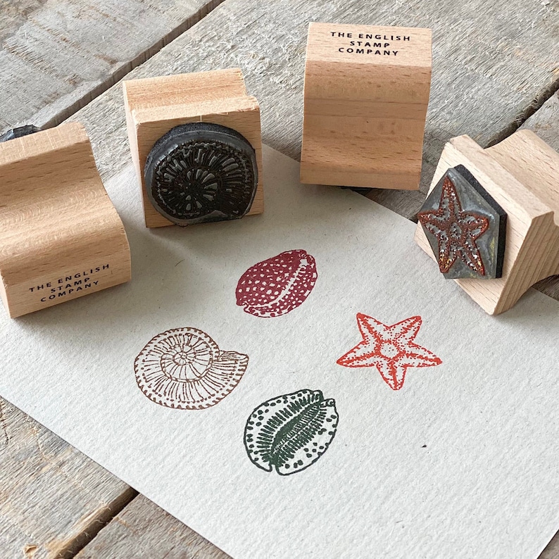 Small Seashell Stamp Set Rubber Stamp Set Shell Stamps Eco Friendly Stamps Eco Stamps Seaside Stamps image 1