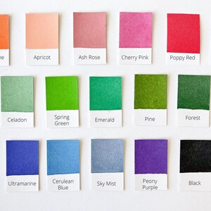 May include: A color chart with 18 different paint colors, each color is labeled with its name. The colors include Tangerine, Apricot, Ash Rose, Cherry Pink, Poppy Red, Brick, Lemon Yellow, Celadon, Spring Green, Emerald, Pine, Forest, Chocolate, Midnight, Ultramarine, Cerulean Blue, Sky Mist, Peony Purple, Black, and Cool Gray.