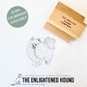 Sello de goma con diseño de perro Pomerania de Debbie Kendall para manualidades, tarjetas y envoltura de regalos.