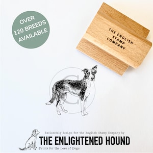 Gladde rubberen kunststempel border collie voor hondenknutselen, kaarten maken en cadeauverpakking door Debbie Kendall