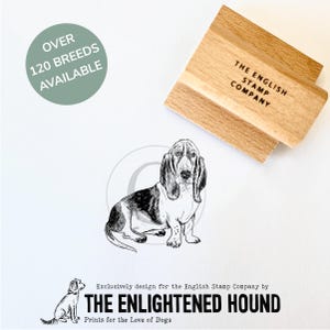 Tampon artistique en caoutchouc artisanal Basset Hound pour les amoureux des chiens, la fabrication de cartes et les projets créatifs