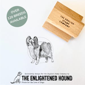 Papillonhond rubberen kunststempel voor knutselen, kaarten, cadeauverpakking - handgemaakt door Debbie Kendall