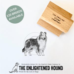 Timbro in gomma artigianale con raffigurazione di un cane Rough Collie, ideale per biglietti d'auguri, confezioni regalo e progetti creativi.