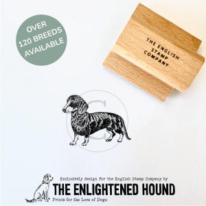 Glatter Dackel Stempel für Hundeliebhaber | Bastelbedarf, Kartenherstellung, Geschenkverpackung