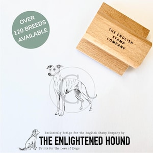 Whippet Dog rubberen kunststempel van Debbie Kendall voor knutselen, kaarten maken en cadeauverpakking