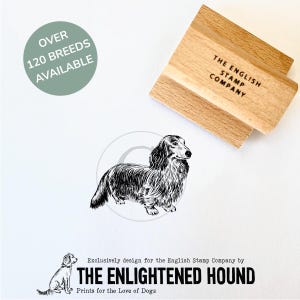 Kunststempel langharige teckel voor hondenliefhebbers - Rubber Craft Supplies van Debbie Kendall