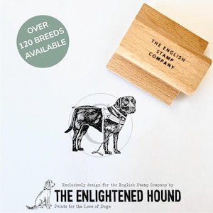 Sello de goma de perro guía labrador para manualidades, tarjetas y envoltura de regalos, de Debbie Kendall