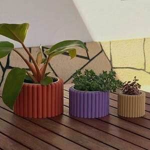 Puede incluir: Tres macetas cilíndricas con textura acanalada vertical, dispuestas en orden descendente de tamaño. La maceta más grande es de color terracota, la mediana es morada y la más pequeña es beige. Cada maceta contiene una planta verde con follaje.