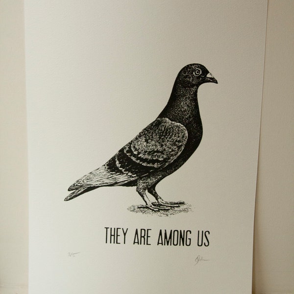 Screenprint Pigeon