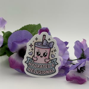 Kawaii Tumbler Sticker | Hydrated Delusional Decal | Coquette Pink Vinyl Laptop Water Bottle image 1