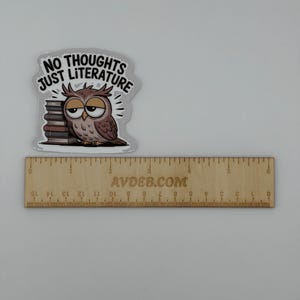 Funny Owl and Books Literature Vinyl Sticker