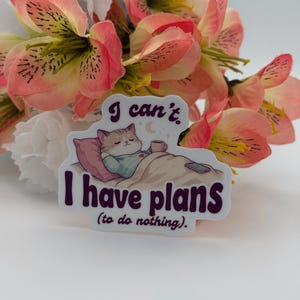 Lazy Cat Quote Vinyl Sticker I Have Plans