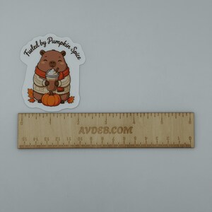 Pumpkin Spice Capybara Vinyl Sticker