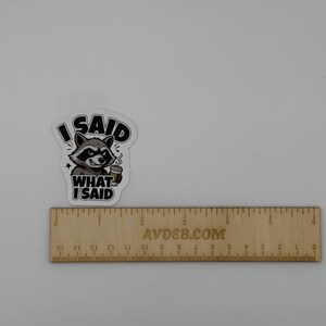 Funny Raccoon Quote Vinyl Sticker I Said What I Said