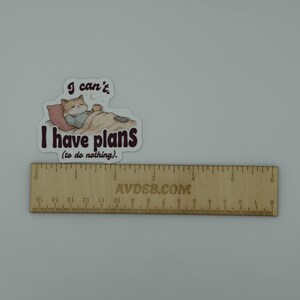 Lazy Cat Quote Vinyl Sticker I Have Plans