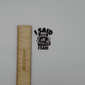 Funny Raccoon Quote Vinyl Sticker I Said What I Said