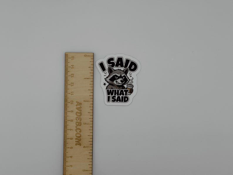 Funny Raccoon Quote Vinyl Sticker I Said What I Said