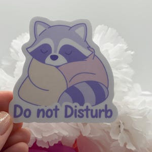 Cute Sleeping Raccoon Do Not Disturb Sticker