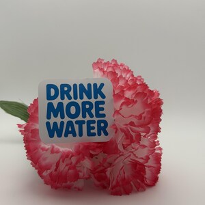 May include: A square white sticker with the blue text DRINK MORE WATER placed over a ruffled carnation flower with white petals and pink-tipped edges. The flower has a single green leaf extending from the side of the stem behind the petals.