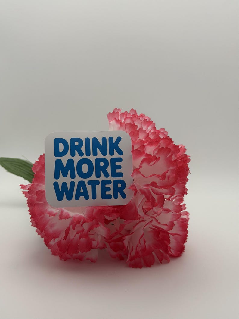 May include: A square white sticker with the blue text DRINK MORE WATER placed over a ruffled carnation flower with white petals and pink-tipped edges. The flower has a single green leaf extending from the side of the stem behind the petals.
