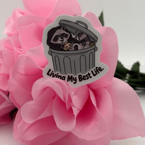 Funny Raccoon Trash Can Vinyl Sticker | Trash Panda Die Cut Decal