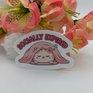 Socially Expired Cat Vinyl Sticker
